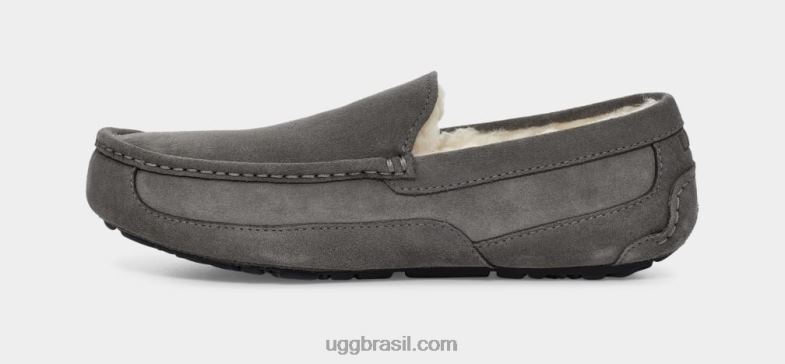 cinza 4VTTD1425 UGG homens chinelo ascot