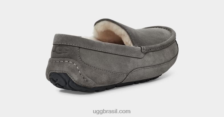 cinza 4VTTD1425 UGG homens chinelo ascot