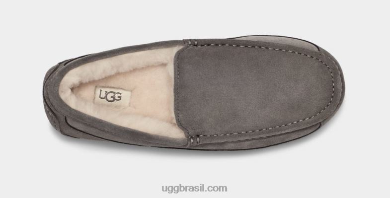 cinza 4VTTD1425 UGG homens chinelo ascot