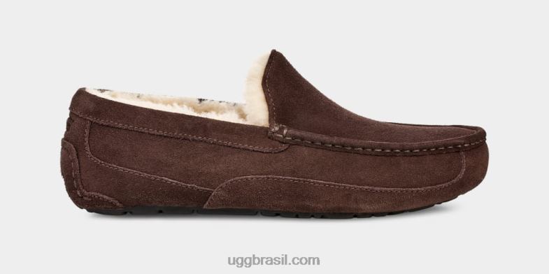 expresso 4VTTD1652 UGG homens chinelo ascot
