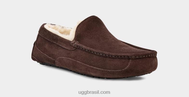expresso 4VTTD1652 UGG homens chinelo ascot