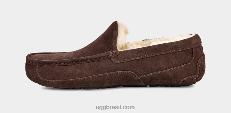 expresso 4VTTD1652 UGG homens chinelo ascot