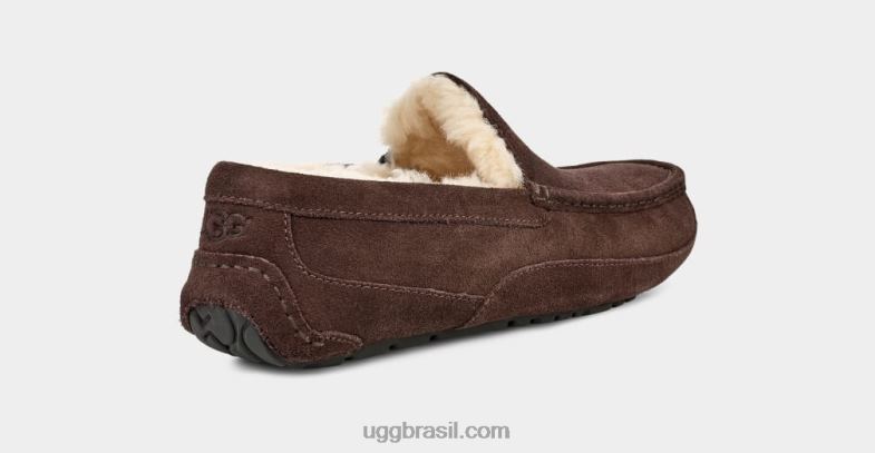 expresso 4VTTD1652 UGG homens chinelo ascot