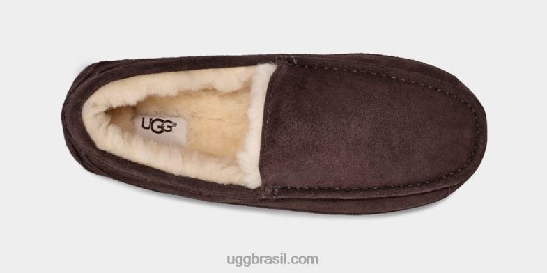 expresso 4VTTD1652 UGG homens chinelo ascot