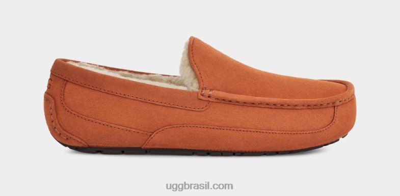 madeira serrada 4VTTD1651 UGG homens chinelo ascot