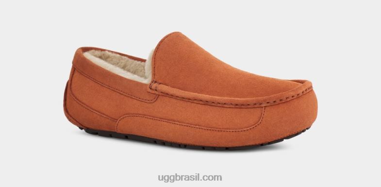 madeira serrada 4VTTD1651 UGG homens chinelo ascot