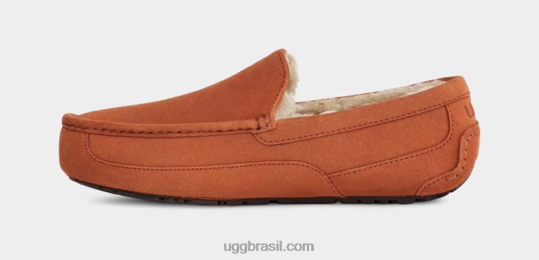 madeira serrada 4VTTD1651 UGG homens chinelo ascot