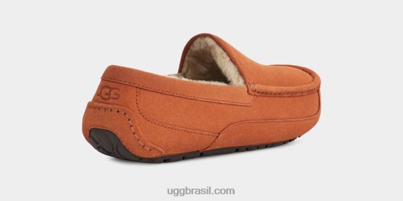 madeira serrada 4VTTD1651 UGG homens chinelo ascot
