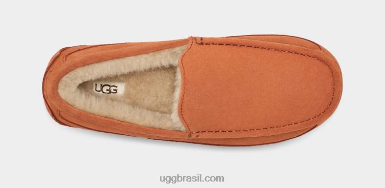 madeira serrada 4VTTD1651 UGG homens chinelo ascot