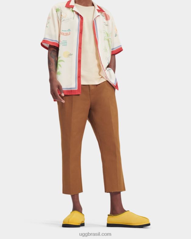 milho 4VTTD220 UGG homens tasman