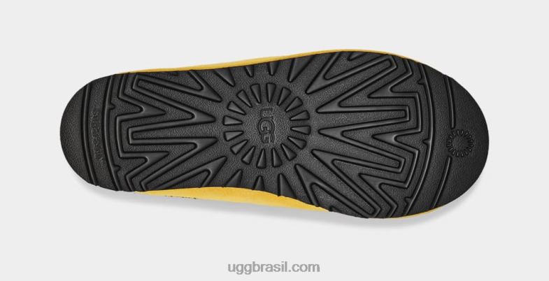 milho 4VTTD220 UGG homens tasman