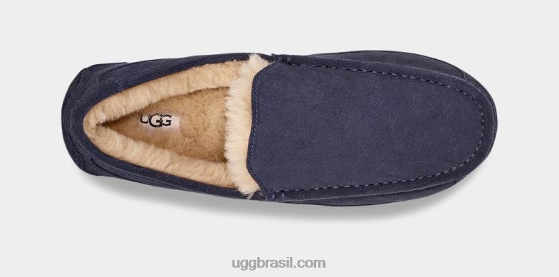 verdadeira marinha 4VTTD1654 UGG homens chinelo ascot