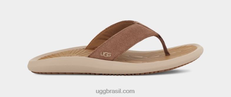 castanha 4VTTD1568 UGG homens brookside ii flip camurça