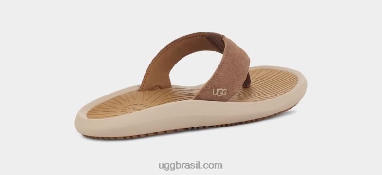 castanha 4VTTD1568 UGG homens brookside ii flip camurça