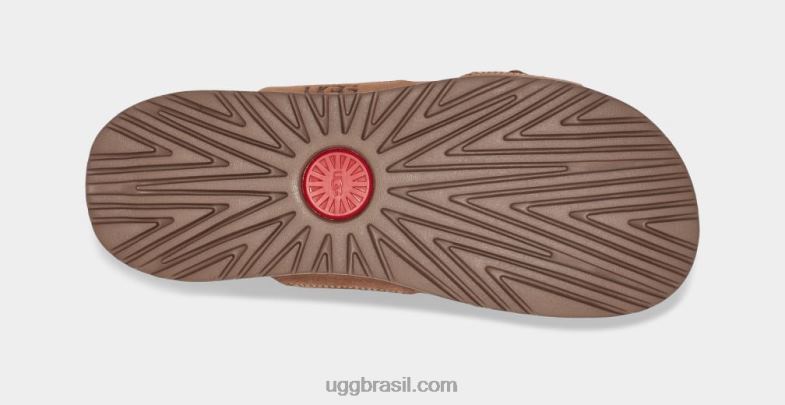 castanha 4VTTD1600 UGG homens corrediça de fivela wainscott