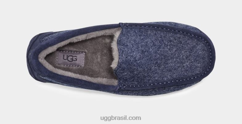 safira escura 4VTTD235 UGG homens lã ascot