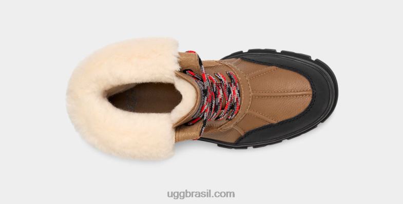 castanha 4VTTD548 UGG mulheres Ashton Addie