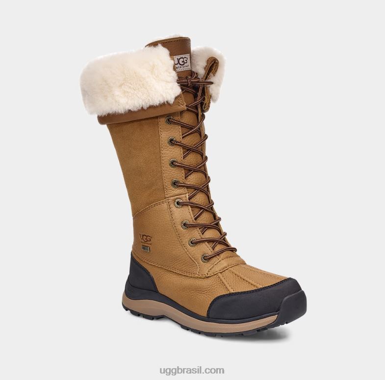 castanha 4VTTD597 UGG mulheres bota alta adirondack iii