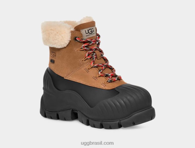 castanha 4VTTD8 UGG mulheres adiroam caminhante
