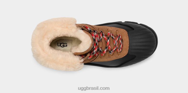 castanha 4VTTD8 UGG mulheres adiroam caminhante