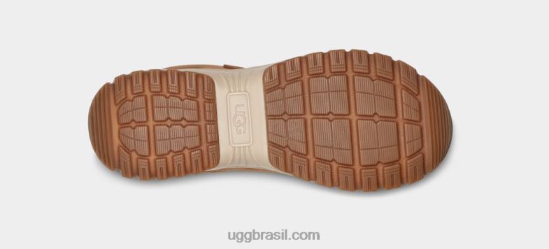 camurça castanha 4VTTD57 UGG mulheres seu zíper curto