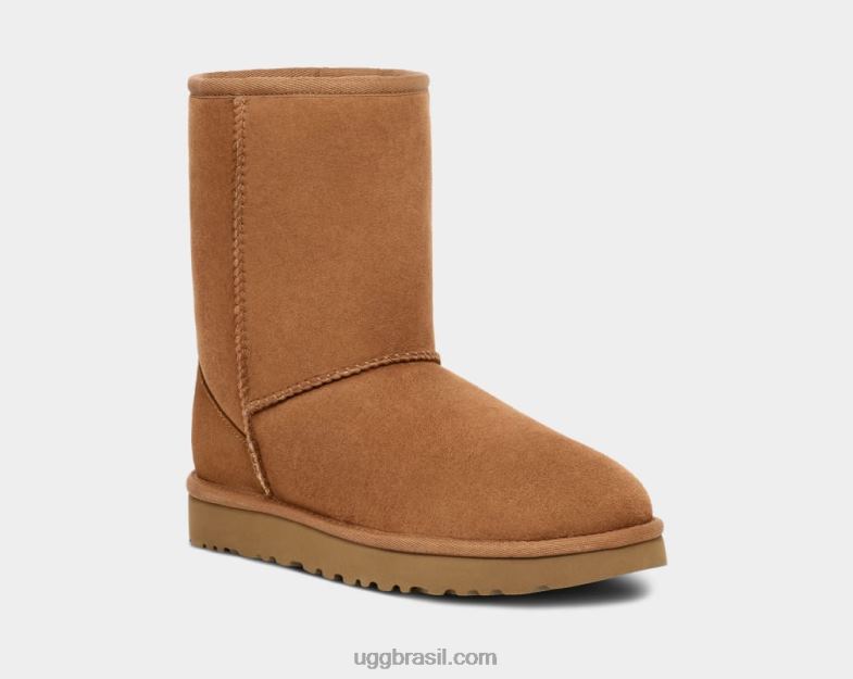 castanha 4VTTD1 UGG mulheres clássico curto ii