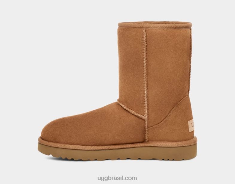 castanha 4VTTD1 UGG mulheres clássico curto ii