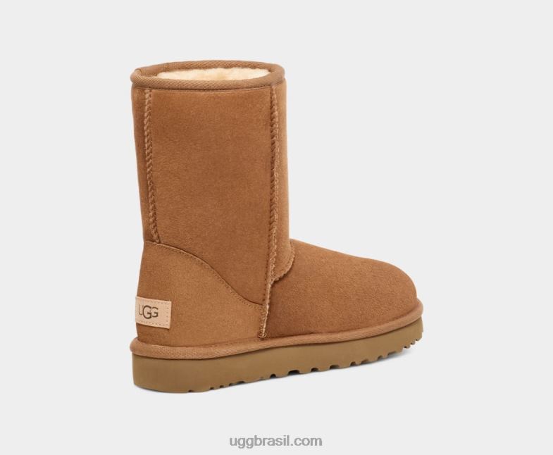 castanha 4VTTD1 UGG mulheres clássico curto ii