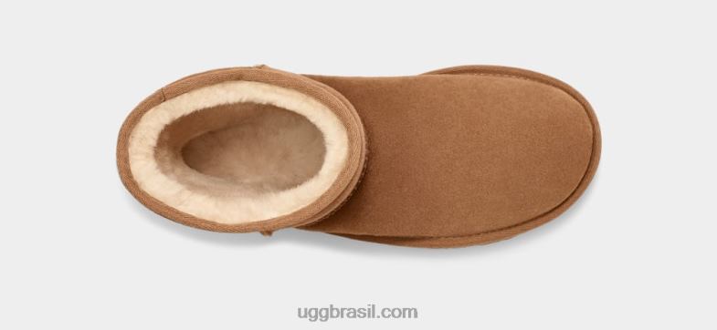 castanha 4VTTD1 UGG mulheres clássico curto ii