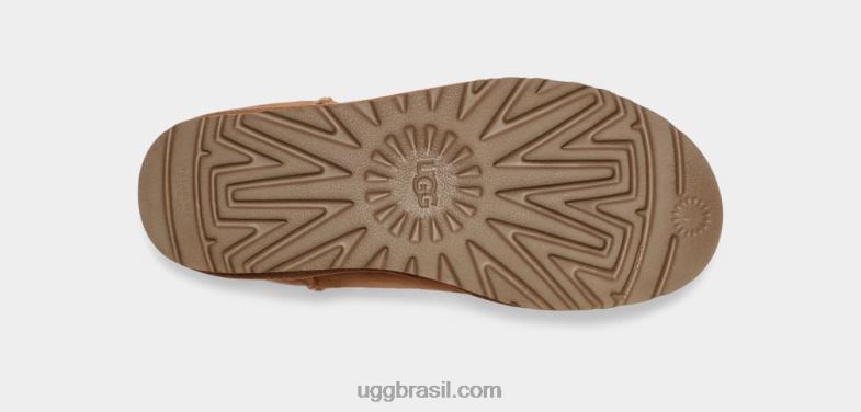 castanha 4VTTD1 UGG mulheres clássico curto ii