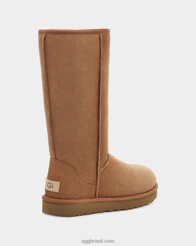 castanha 4VTTD564 UGG mulheres bota clássica ii alta