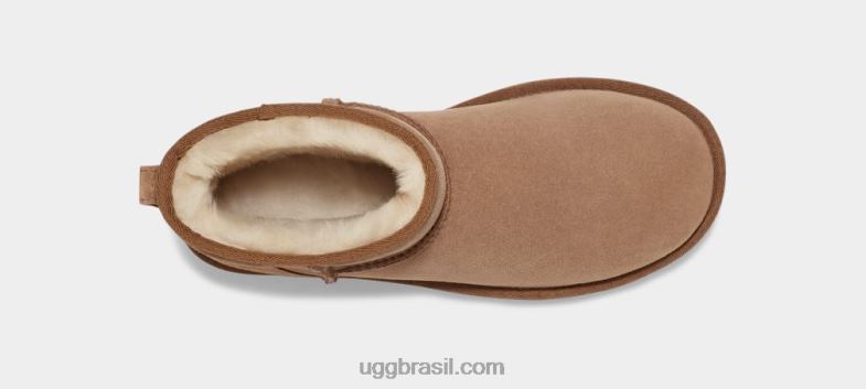 castanha 4VTTD5 UGG mulheres clássico mini regenerado