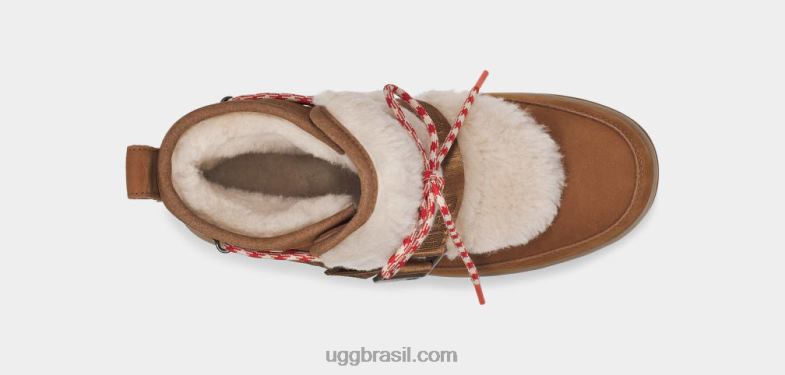 castanha 4VTTD742 UGG mulheres alpinista clássico do tempo