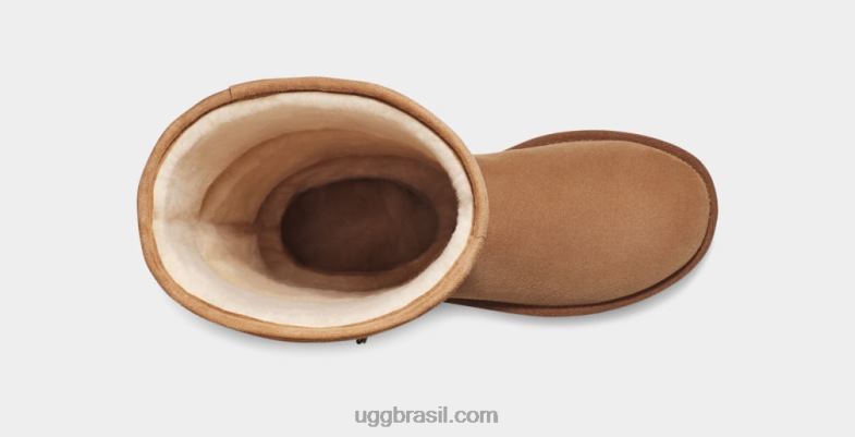 castanha 4VTTD756 UGG mulheres clássico ultra alto