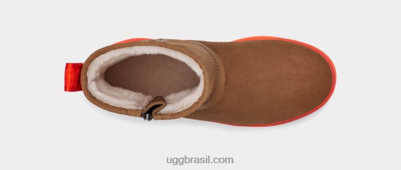 castanha 4VTTD835 UGG mulheres tecnologia clássica mini