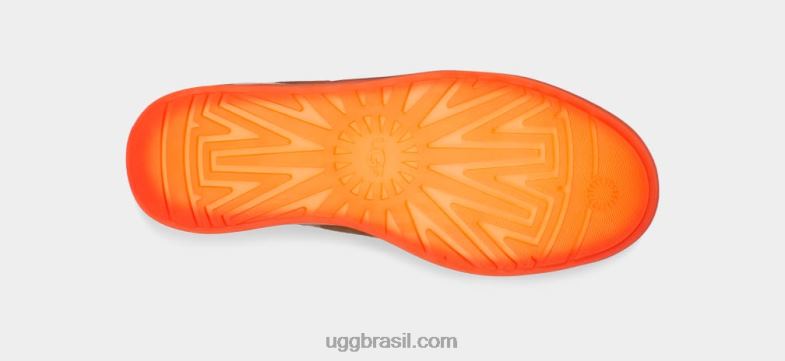 castanha 4VTTD835 UGG mulheres tecnologia clássica mini
