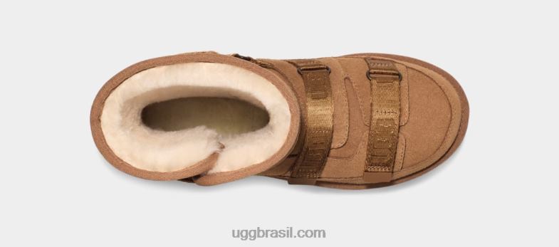 castanha 4VTTD851 UGG mulheres clássico curto híbrido