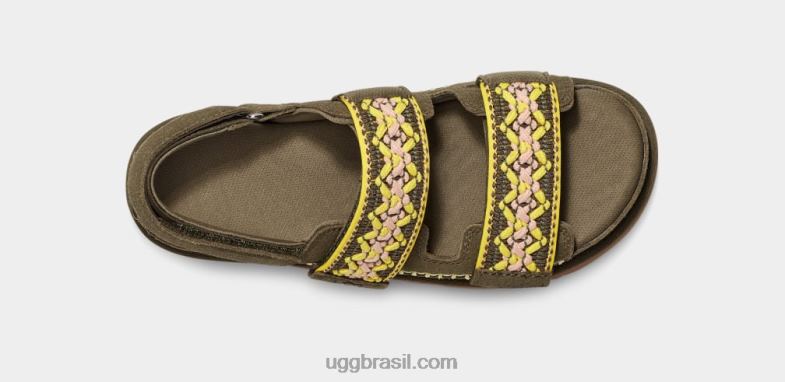 azeitona queimada 4VTTD515 UGG mulheres trança goldenstar