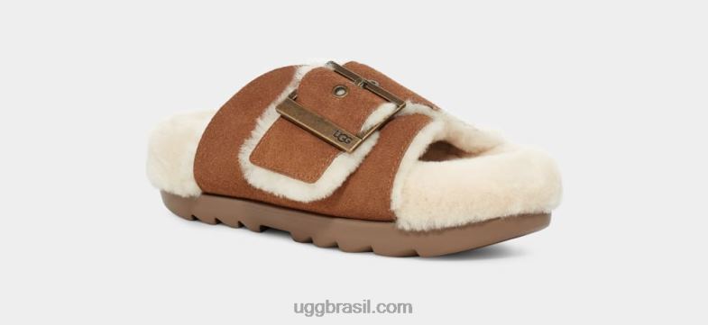 camurça castanha 4VTTD788 UGG mulheres fivela exterior