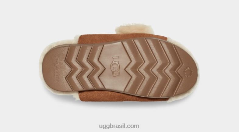 camurça castanha 4VTTD788 UGG mulheres fivela exterior