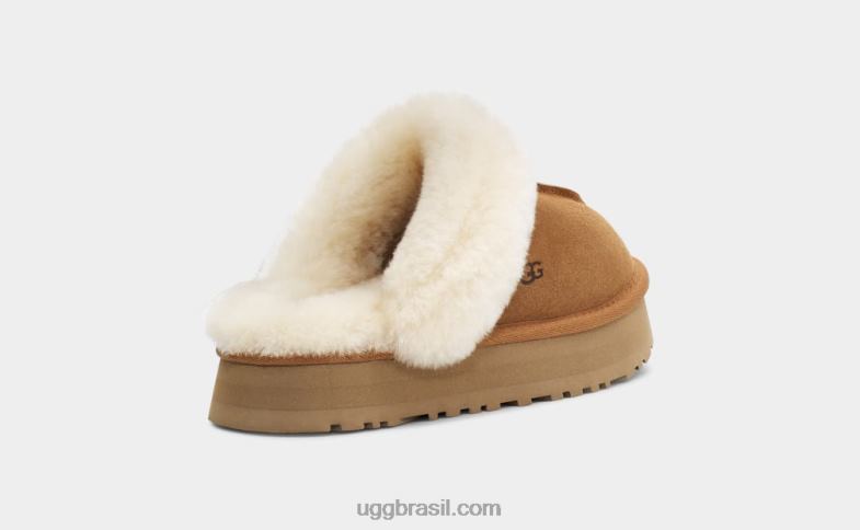 castanha 4VTTD2126 UGG mulheres disquete