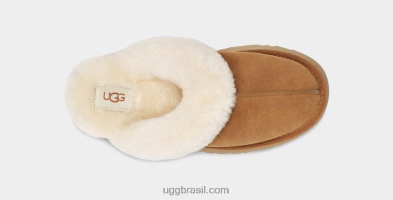 castanha 4VTTD2126 UGG mulheres disquete