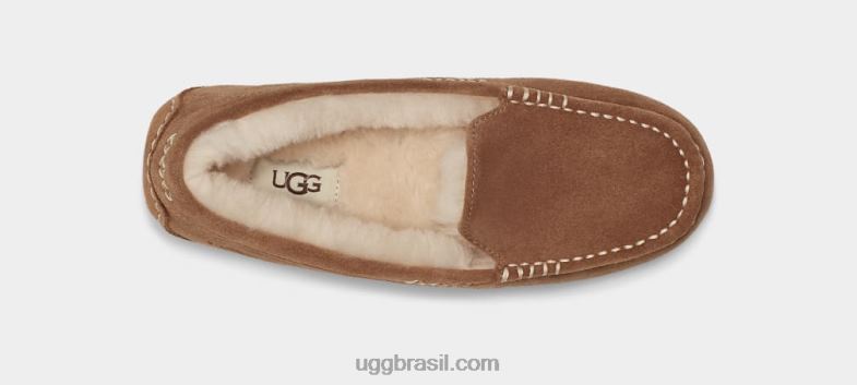 castanha 4VTTD371 UGG mulheres Ansley