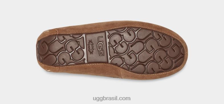 castanha 4VTTD371 UGG mulheres Ansley