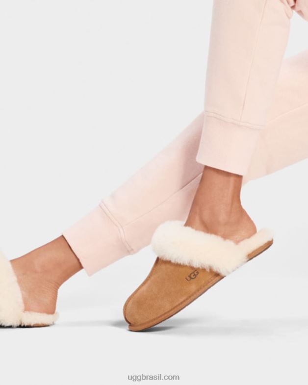 castanha 4VTTD446 UGG mulheres scuffette ii