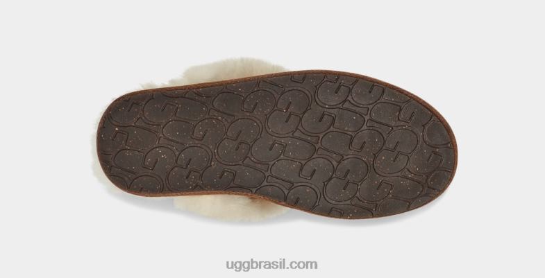 castanha 4VTTD446 UGG mulheres scuffette ii