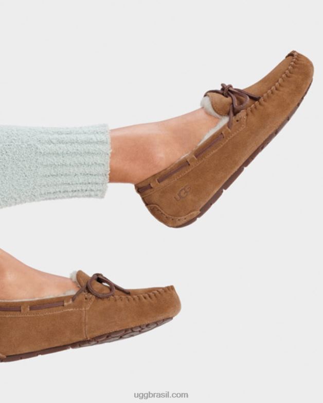 castanha 4VTTD458 UGG mulheres dakota