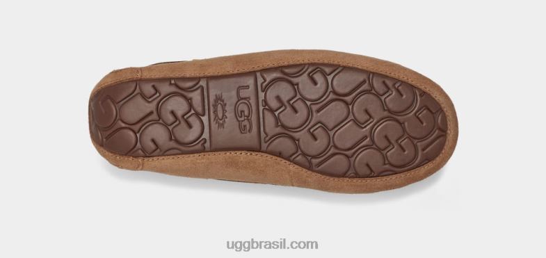 castanha 4VTTD458 UGG mulheres dakota