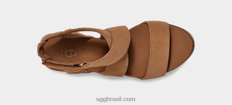 castanha 4VTTD492 UGG mulheres tornozelo ileana