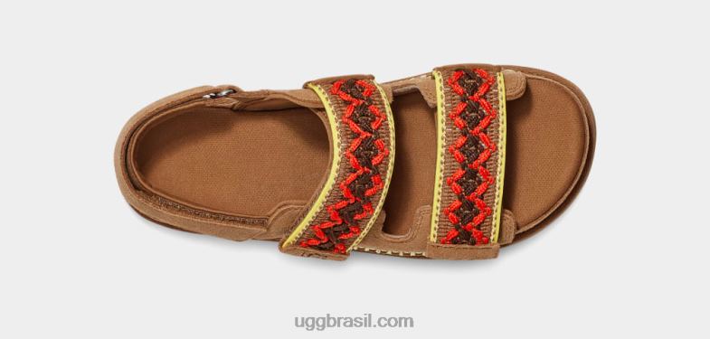 castanha 4VTTD513 UGG mulheres trança goldenstar